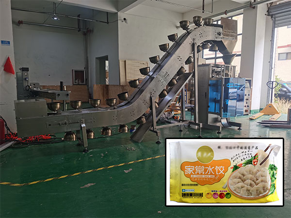 邯郸自动化速冻水饺包装机设备-邯郸速冻水饺包装机